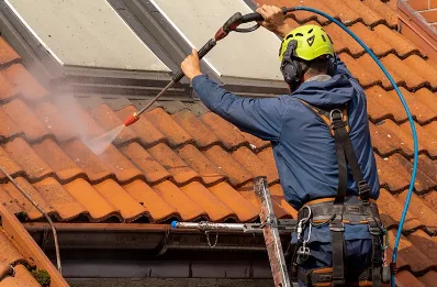 Démoussage et hydrofuge de toiture à Tramoyes